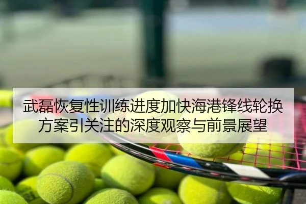 武磊恢复性训练进度加快海港锋线轮换方案引关注的深度观察与前景展望
