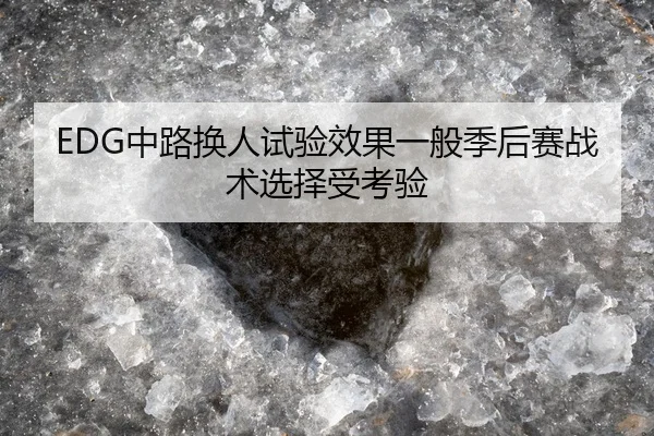 EDG中路换人试验效果一般季后赛战术选择受考验