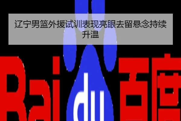 辽宁男篮外援试训表现亮眼去留悬念持续升温